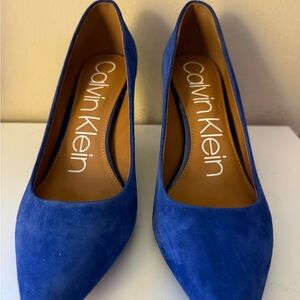 Calvin Klein Women's Cobalt Blue Suede Pointed Toe Pumps